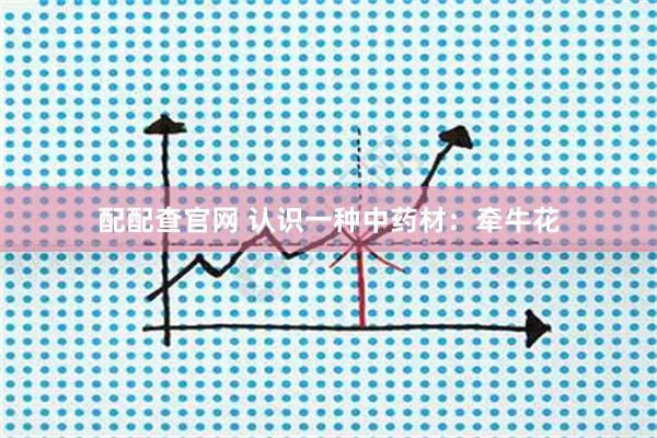 配配查官网 认识一种中药材：牵牛花